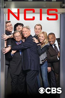海军罪案调查处 第十四季 NCIS: Naval Criminal Investigative Service Season 14