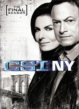 犯罪现场调查：纽约 第九季 CSI: NY Season 9