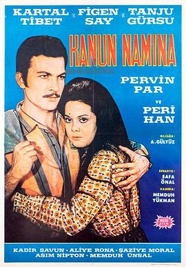以法律的名义 Kanun namina