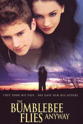 像大黄蜂一样飞走 The Bumblebee Flies Anyway