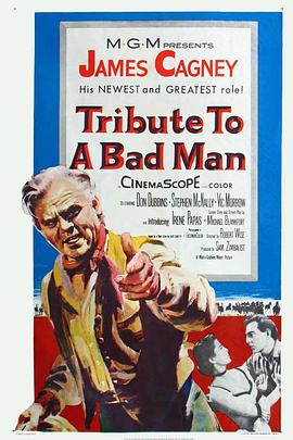 铁汉柔情 Tribute to a Bad Man