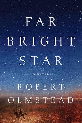 远方的星 Far Bright Star