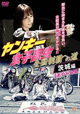 不良女高中生称霸全国之路4：茨城篇 ヤンキー女子高生 全国制覇への道 茨城編