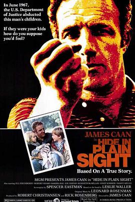 傲骨柔情 Hide in Plain Sight