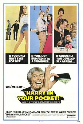 妙手空空大行动 Harry in Your Pocket