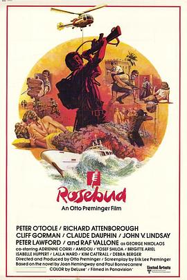 玫瑰花恋 Rosebud