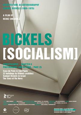 街市风景：主义篇 Bickels: Socialism