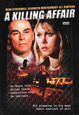 铁警柔情 A Killing Affair