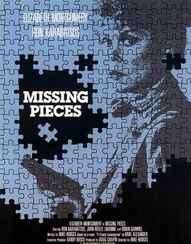 线索追凶 Missing Pieces
