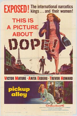 国际特警队 Pickup Alley