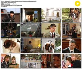 我们的朋友菲利克斯 Felix - Ein Freund fürs Leben