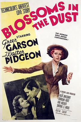 落花飘零 Blossoms In the Dust