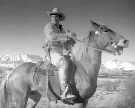 彩色种马 The Painted Stallion