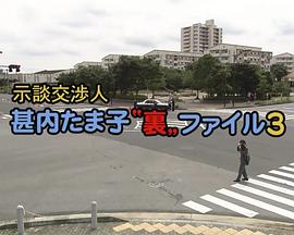 调解交涉人甚内玉子的背后文件3 示談交渉人 甚内たま子“裏”ファイル3