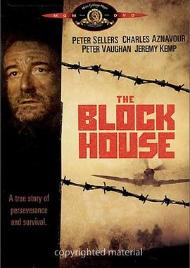 历劫人间 The Blockhouse