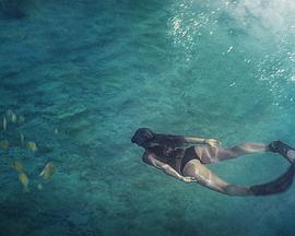 水下王国 The Underwater Realm