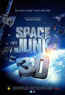 空间垃圾 Space Junk
