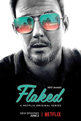 别有隐情 第二季 Flaked Season 2