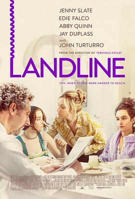 固定电话 Landline
