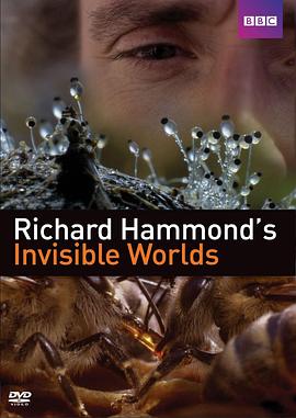 理查德·哈蒙德：看不见的世界 Richard Hammond's Invisible Worlds