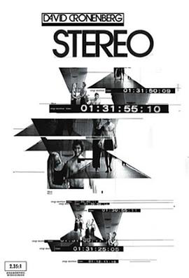 立体 Stereo