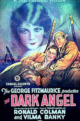 暗黑天使 The Dark Angel