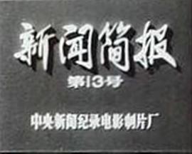 新闻简报1972年第13号