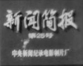 新闻简报第1972年第25号