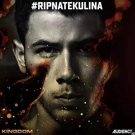 搏击王国 第三季 Kingdom Season 3