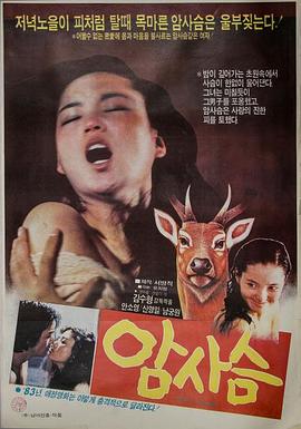 母鹿 암사슴