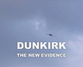 敦刻尔克：新证据 Dunkirk: The New Evidence