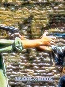 全心全意 Hearts and Minds