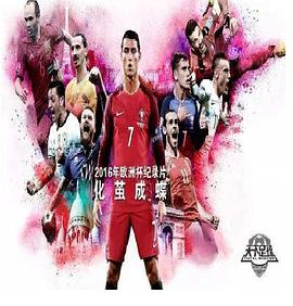 化茧成蝶：2016年欧洲杯纪录片