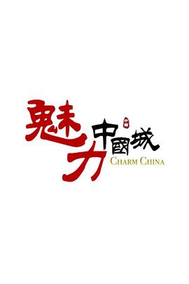 魅力中国城 第一季
