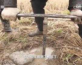 探索·发现：考古进行时之上古谜城石家河