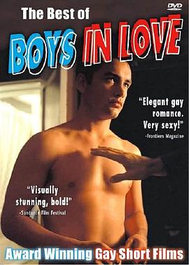 恋爱中的帅男孩 Boys in Love