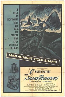 伏鲨英雄传 The Sharkfighters