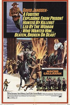 游龙火凤霹雳枪 Macho Callahan