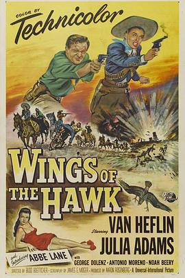 抗敌英雄 Wings of the Hawk