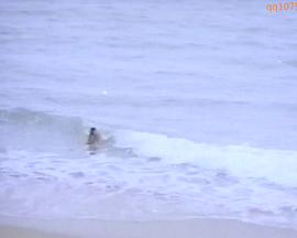 胆小的孩子 겁없는 아이