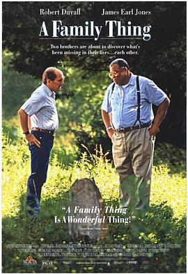 家丑 A Family Thing