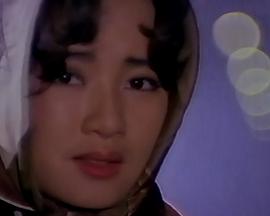 同伴者 동반자