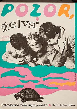 注意，龟背！ Vnimanie, cherepakha!