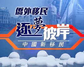 逐梦彼岸--中国新移民