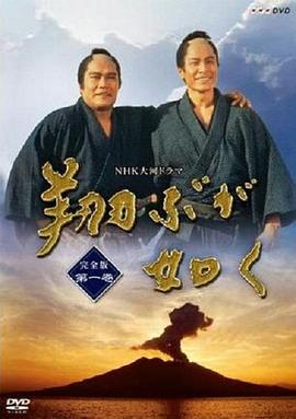 宛如飞翔 翔ぶが如く