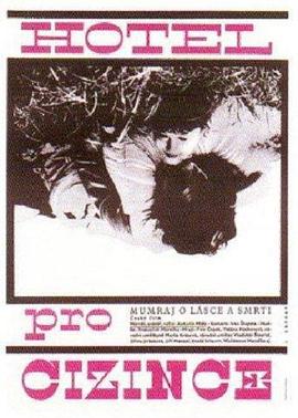 陌生人的旅馆 Hotel pro cizince