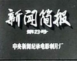 新闻简报1973年第23号