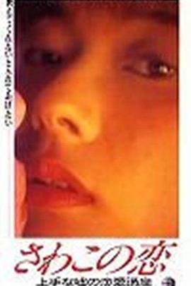 佐和子之恋：完美谎言的恋爱讲座 さわこの恋 上手な嘘の恋愛講座