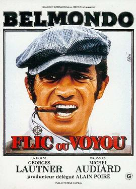 鬼马神探 Flic Ou Voyou