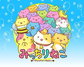 萌猫向前冲 みっちりねこ